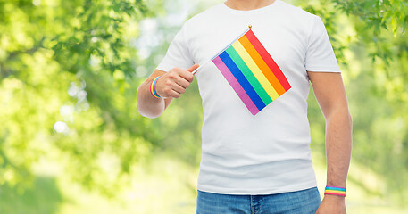 Image showing man with rainbow flag and gay pride wristbands