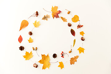 Image showing autumn leaves, chestnuts, acorns and berries frame