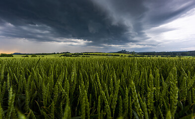 Image showing Storm clouds over Trosky Castle, Czech Republic