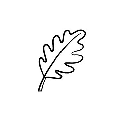 Image showing Oak leaf hand drawn sketch icon.