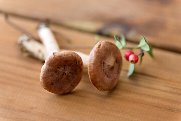 Image showing lactarius rufus mushrooms and cowberry on wood