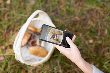 Image showing close up of woman photographing mushrooms