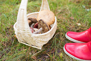 Image showing basket of mushrooms and feet in gumboots in forest
