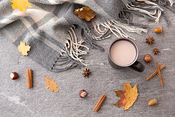 Image showing hot chocolate, autumn leaves and warm blanket