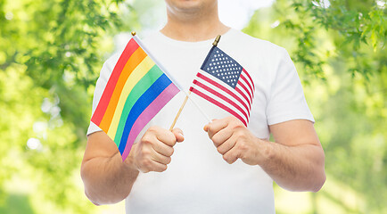 Image showing man with gay pride rainbow and american flag