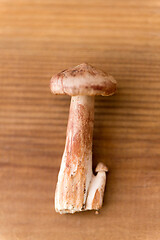 Image showing lactarius rufus mushrooms on wooden background