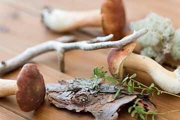 Image showing boletus mushrooms, moss, branch and bark on wood