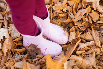 Image showing little girl\'s feet in gumboots on autumn foliage