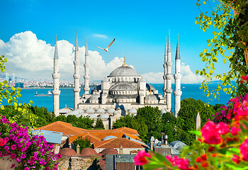 Image showing Beautiful view of mosque