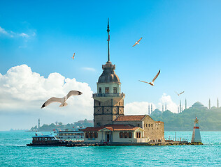 Image showing Seagulls near Maiden Tower