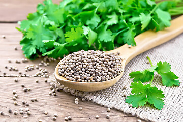 Image showing Coriander seeds in wooden spoon on board