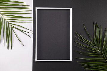 Image showing Frame of tropical palm leaves on black and white background