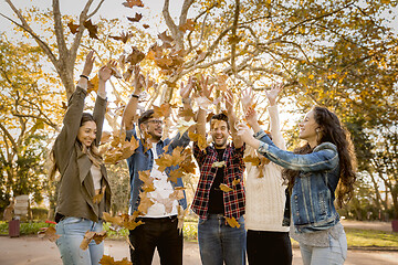 Image showing Friends having fun throwing leaves in the air