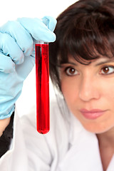 Image showing Closeup of woman analysing test tube