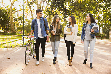 Image showing Students in the park