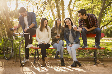 Image showing Students in the park