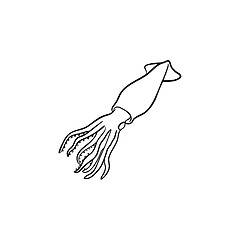 Image showing Squid hand drawn sketch icon.