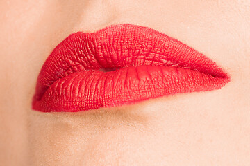 Image showing Sexy Red Lip. Close-up Beautiful lips