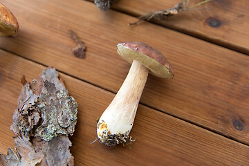 Image showing boletus edulis mushroom and pine bark on wood