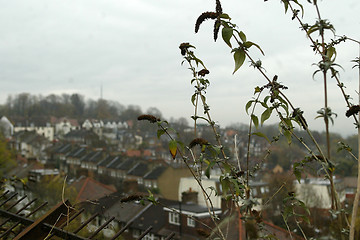 Image showing Rooftops