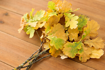 Image showing oak leaves in autumn colors on wooden table