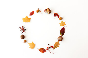 Image showing autumn leaves, chestnuts, acorns and berries frame