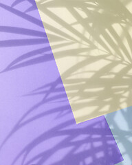 Image showing colored paper background with palm shadows