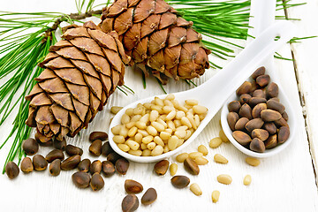 Image showing Cedar nuts in two spoons on board