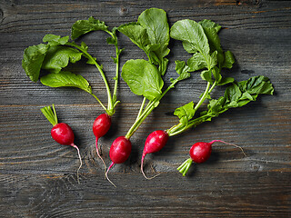 Image showing fresh raw radish