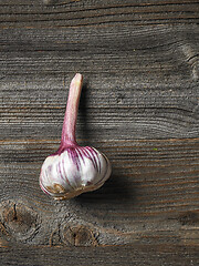 Image showing fresh raw garlic