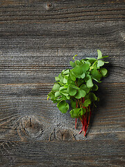 Image showing fresh raw wood sorrel plant