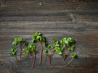 Image showing fresh raw wood sorrel plant