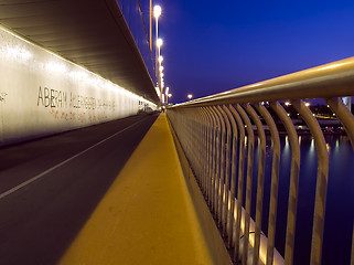 Image showing Boardwalk Over Danube