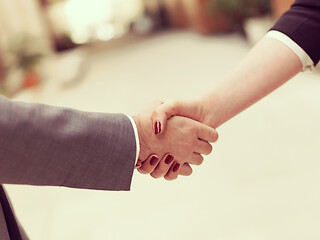 Image showing businesswoman and businessman handshake