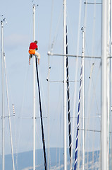 Image showing Man on a mast