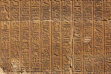 Image showing ancient egypt hieroglyphics on wall