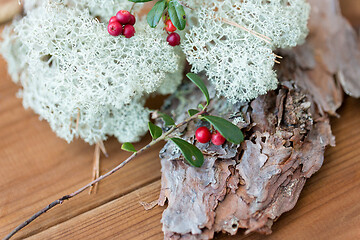 Image showing close up of cowberry and reindeer lichen moss