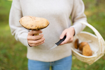 Image showing woman with basket picking mushrooms in forest