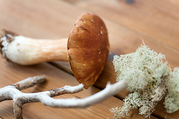Image showing boletus mushrooms, moss, branch and bark on wood