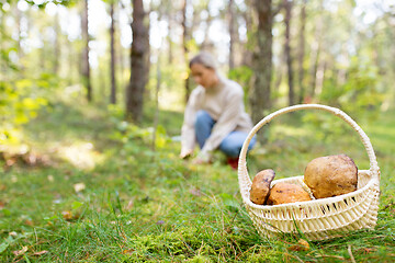 Image showing basket of mushrooms and woman in autumn forest