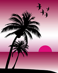 Image showing Pink Tropical Sunset