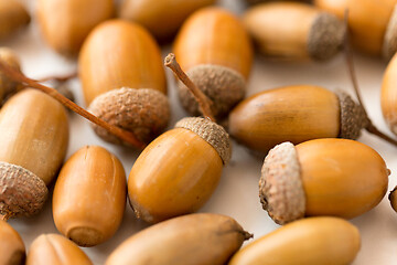 Image showing close up of acorns on white background