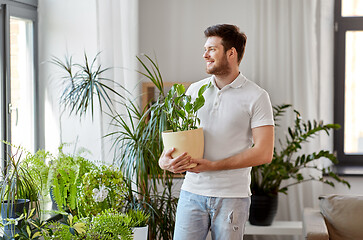 Image showing man with flower taking care of houseplants at home