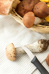 Image showing basket of different edible mushrooms and knife