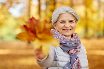 Image showing senior woman with maple leaves at autumn park