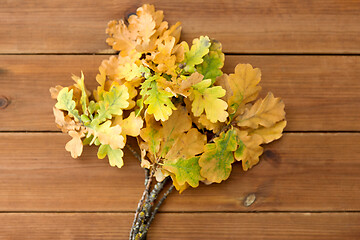 Image showing oak leaves in autumn colors on wooden table