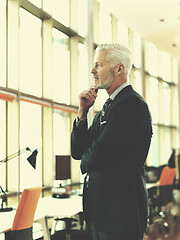 Image showing senior business man portrait