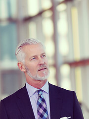 Image showing senior business man portrait