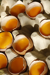 Image showing eggs