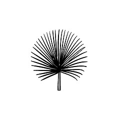 Image showing Spiky palm leaves hand drawn sketch icon.